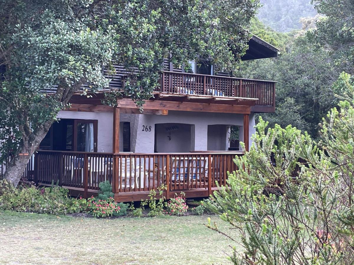 Forest Drive Holiday Home Natureʼs Valley Exterior foto
